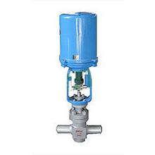 進口電動流量調節閥