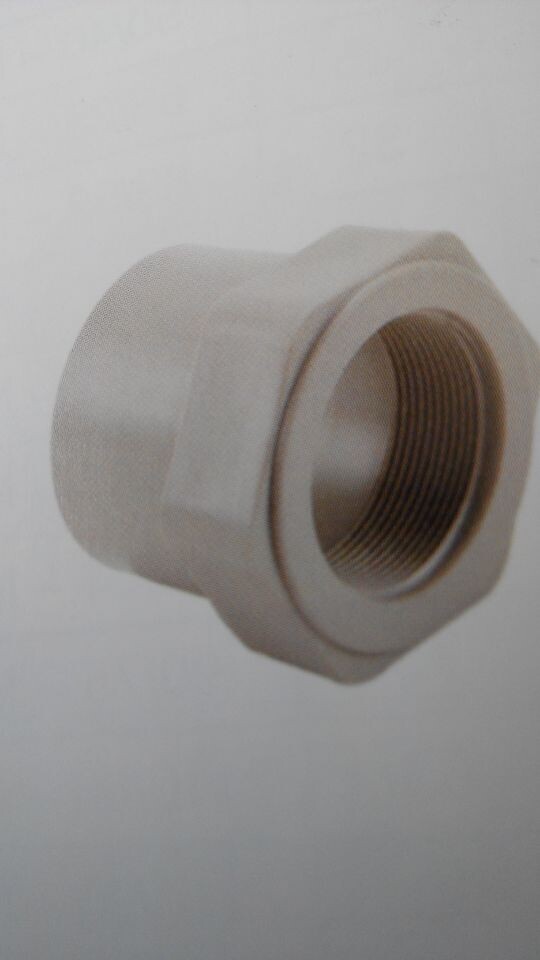 派力普供應優質PPH，PVDF，PVC內絲接頭