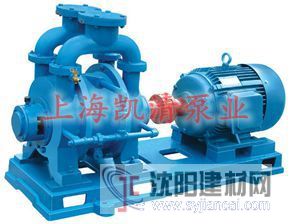 供應SK系列水環式真空泵