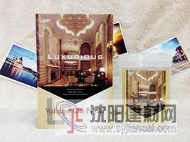 廠家批發 墻紙膠粉 風彩墻 紙壁紙膠粉  墻紙輔料