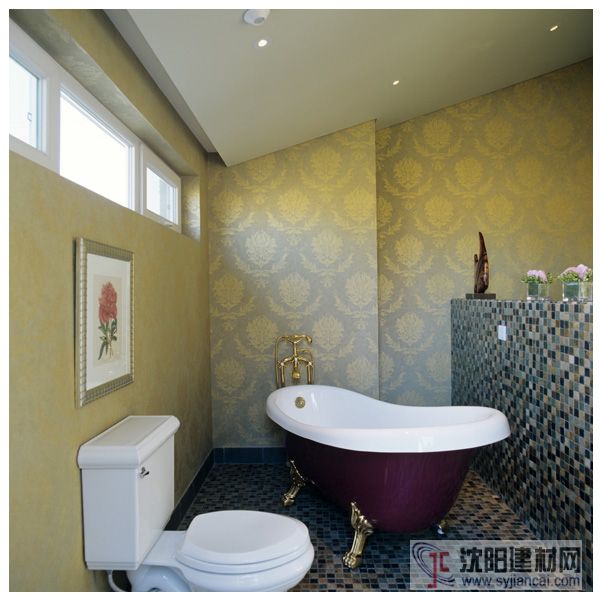 羅馬E族彩裝膜 帶來高雅華麗的藝術品位