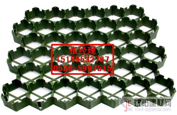 供應(yīng)植草格/塑料植草板/聚乙烯植草格
