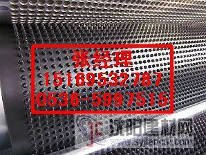 供應(yīng)樓頂綠化排水板/車庫(kù)排水板/聚乙烯排水板