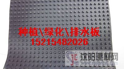 排水板）凸點排水板）排水板價格