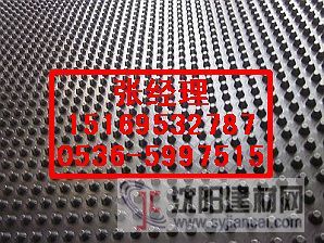 供應(yīng)車庫(kù)綠化排水板，樓頂綠化排水板