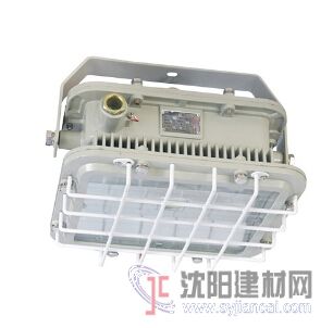 BED51防爆節能LED燈