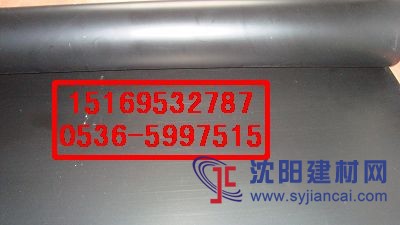 供應(yīng)HDPE土工膜，藕池HDPE防滲土工膜