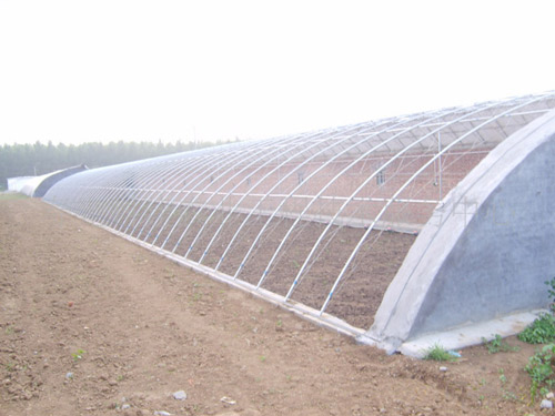 淮廠家直銷大棚鍍鋅管厚壁鍍鋅管鍍鋅鋼管現貨價格z低