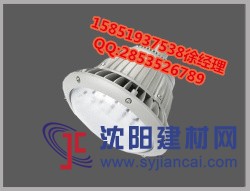 BAD85-M防爆投光燈，BAD85-MLED投光