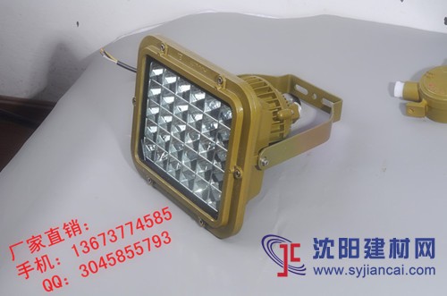 20w防爆led照明燈批發(fā)，led防爆平臺燈30