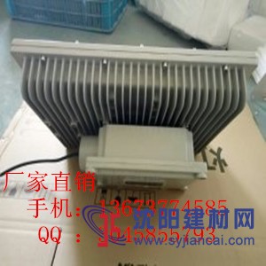 薩爾圖100Wled糧食倉庫防爆燈具