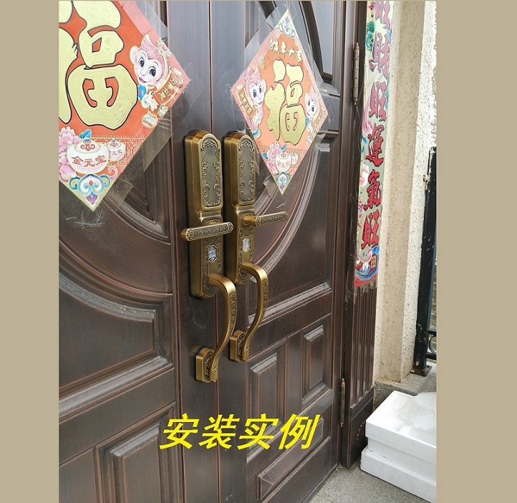 別墅雙開(kāi)防盜門(mén)指紋鎖