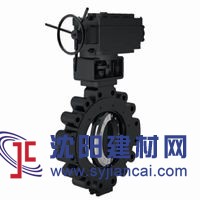 美國(guó)進(jìn)口凸耳式蝶閥