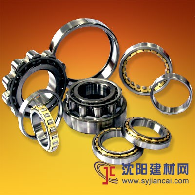 日本JNS軸承代理商青島JNS圓柱滾子軸承經銷商