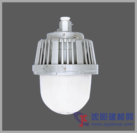 LED防爆平臺燈，50W LED防爆燈，石油廠用防