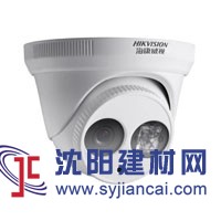 大連海康威視半球網絡攝像機DS-2CD3310D-