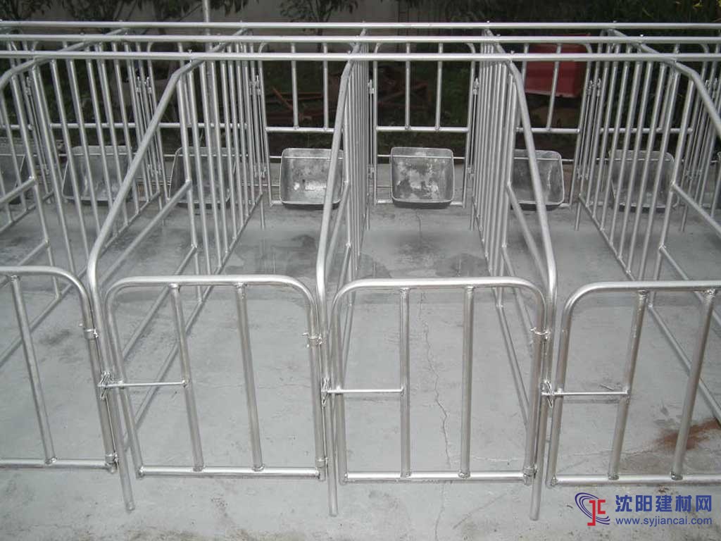 我家銷售焊接養豬設備母豬定位欄