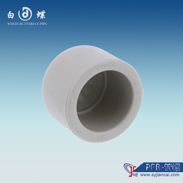 加盟PPR管品牌廠家_PPR管10大品牌