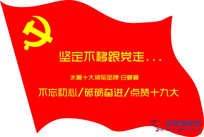 水管十大品牌企業喜迎十九大勝利召開