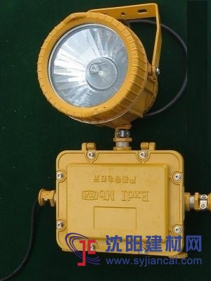 單頭防爆應急燈