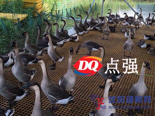 養殖專用玻璃鋼格柵@長春養殖專用玻璃鋼格柵生產廠家