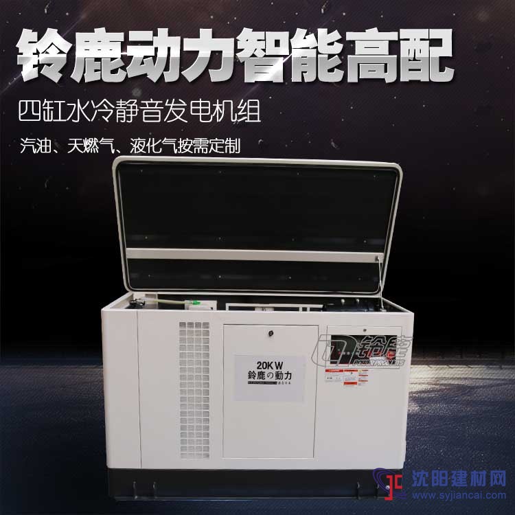 小尺寸大功率20KW汽油發電機SHL20REG