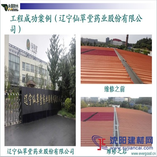 廠房鋼結構彩鋼屋面滲漏 沈陽永固防水是專家