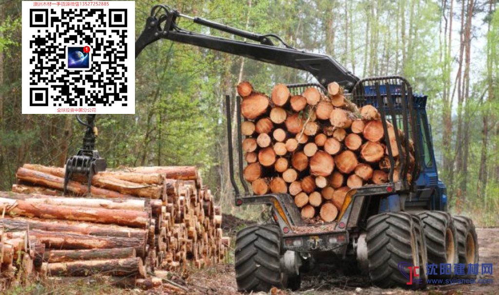 澳洲斑膠  玫瑰膠  桃花心木出口批發商