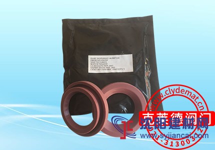 泵平衡閥插入式密封圈P1586C-01  DN100