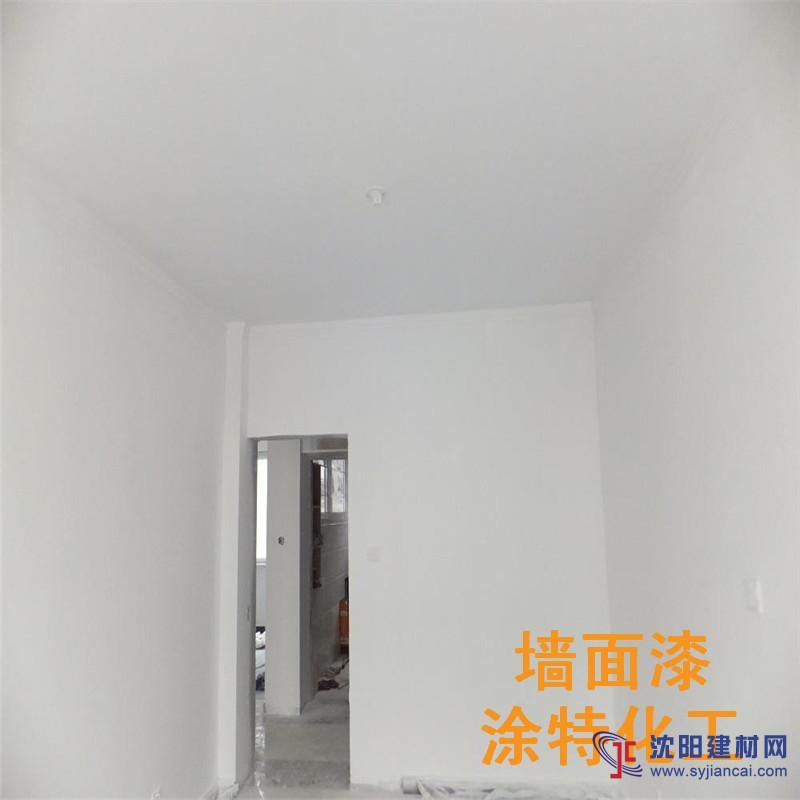 室內白色乳膠漆山東水性漆