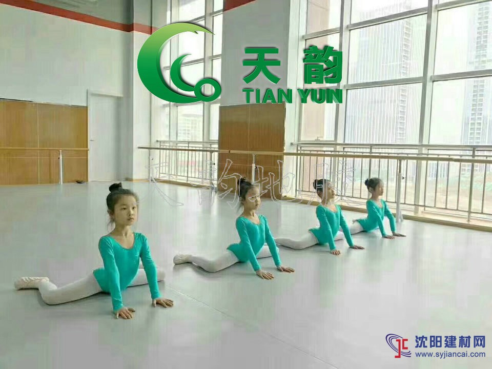 舞蹈地膠廠家 沈陽(yáng)天韻舞蹈地膠廠家批發(fā)