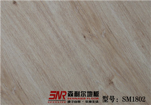 歐伯雅·麻面系列1802