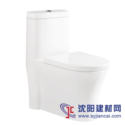 抽水馬桶，陶瓷坐便器，一體座便器，節水馬桶