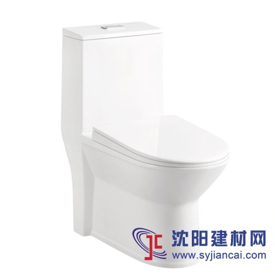 虹吸式坐便器，超漩式坐便器，直沖式坐便器，連體坐便