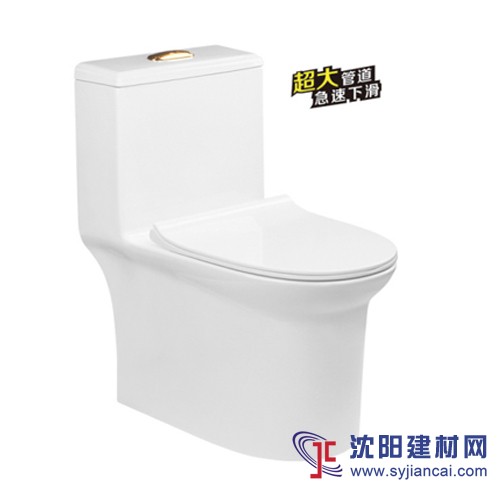 抽水馬桶，陶瓷坐便器，一體座便器，節水馬桶