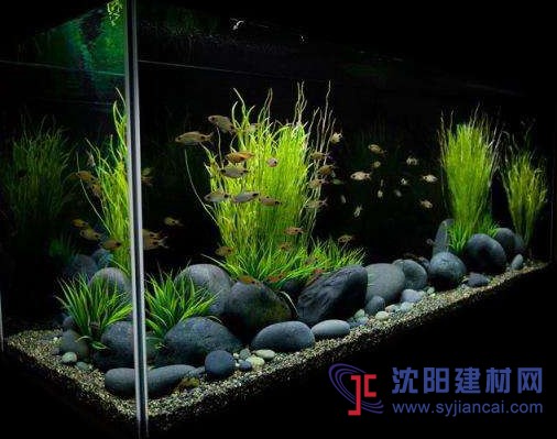 供應黑色鵝卵石