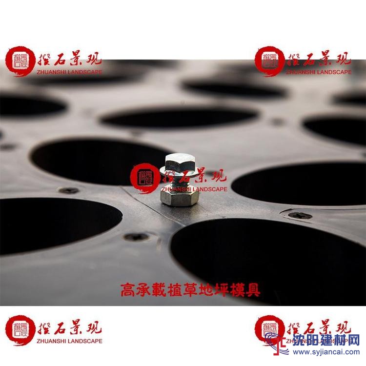 朝陽植草地坪模具廠家直供 江蘇撰石景觀