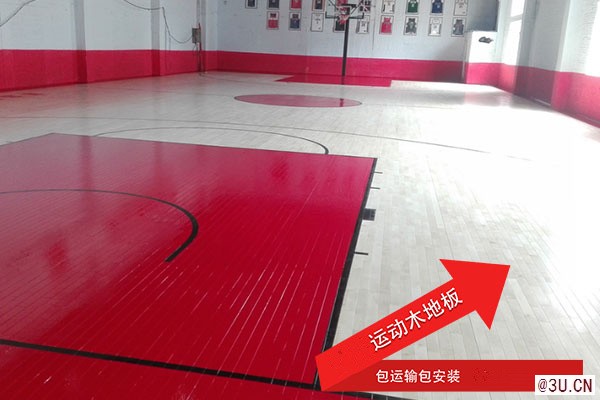 進口舞蹈地膠，舞蹈教室專用地膠