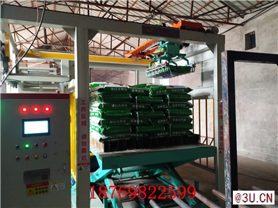 現代化包裝生產線高位碼垛機